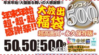 【VR】【500円ワンコイン】年末年始超・超・超・感謝祭！！大放出 福袋 50人50タイトル500分OVER-超高画質 永久保存版-