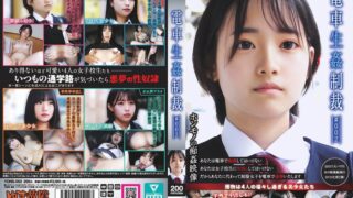 電車生姦制裁 ＃002