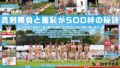 SOD女子社員 2025年度ソフト・オン・デマンド運動会 男女総勢37名の社員合戦！