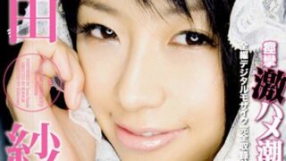 【AIリマスター】芸能人 範田紗々 痙攣激ハメ潮噴射 m VISION