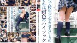 女子校生に欠かせないもの、それは紺色のハイソックス