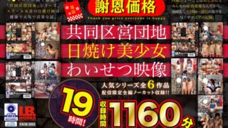 【福袋】【謝恩価格】共同区営団地 日焼け少女わいせつ映像 19時間！