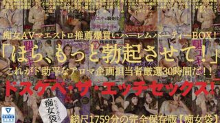 【福袋】「ほら、もっと勃起させて！」ドスケベ・ザ・エッチセックス！痴女AVマエストロ推薦爆買いハーレムパーティーBOX！これがド助平なアロマ企画担当者厳選29時間だ！！