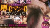 お手入れおざなり剛毛マン毛なカノジョたち インモラルで濃い臭いの真っ黒な誘惑…天然恥毛だらけのノーカット8作品完全収録