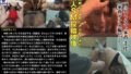 両穴フィスト家畜・千佳【家畜アクメ編】（家畜コレクターvol.20）