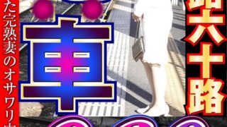 大人になったらセンタービレッジ。五十路六十路 電車 30作品16時間