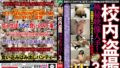 校内盗撮 極秘映像入手！教師の設置した高画質スパイカメラオナニー映像集3 24人