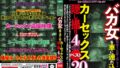 バカ女を車に連れ込みカーセックス隠し撮り4時間ベスト20人