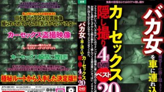 バカ女を車に連れ込みカーセックス隠し撮り4時間ベスト20人