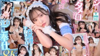 【VR】ドジで、タメ口で、すぐ不貞腐れるけど なんだかんだ性処理ご奉仕だけは絶対に手を抜かない 正直で実直で可愛すぎる【僕専属】気まぐれメイド 新ありな