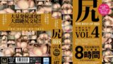 尻 THE BEST OF IRIS Vol.4