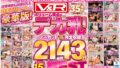 V＆R ボリューム満点のデカ乳BEST ノーカット完全収録2143分 PREMIUM BEST