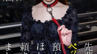 【4K】先輩にペットを預かってほしいと頼まれました… 天馬ゆい crnx00117