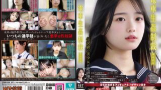 電車生姦制裁 ＃008 ydns00008